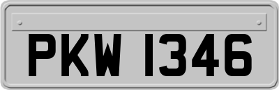 PKW1346