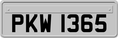 PKW1365