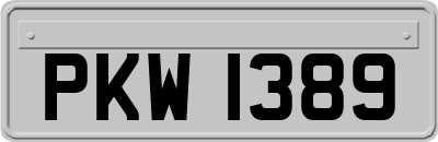 PKW1389