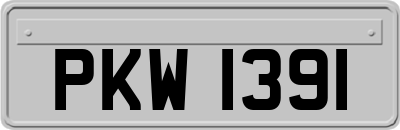 PKW1391