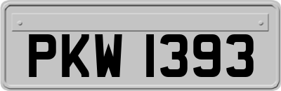 PKW1393