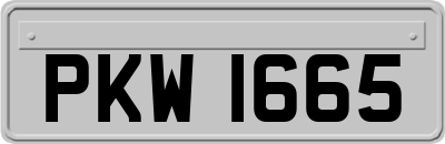 PKW1665