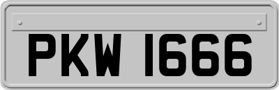 PKW1666