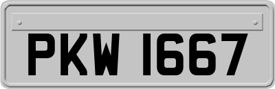 PKW1667