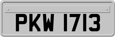 PKW1713