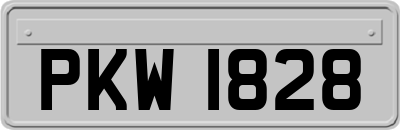PKW1828
