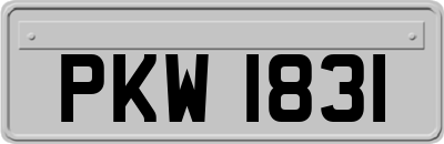 PKW1831