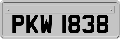 PKW1838