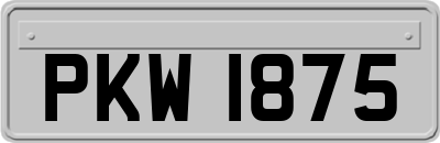 PKW1875