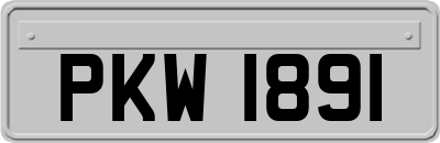 PKW1891