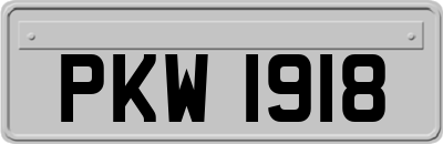 PKW1918