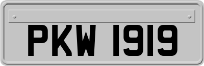 PKW1919
