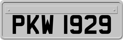 PKW1929