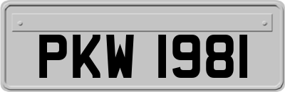 PKW1981