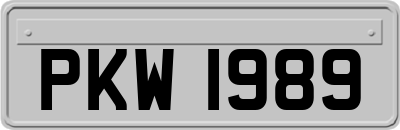 PKW1989