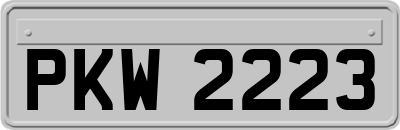 PKW2223