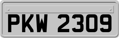 PKW2309