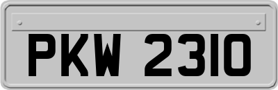PKW2310