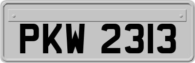 PKW2313