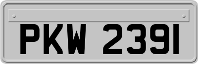 PKW2391