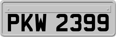 PKW2399