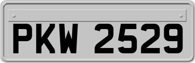 PKW2529
