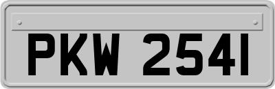 PKW2541
