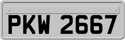 PKW2667
