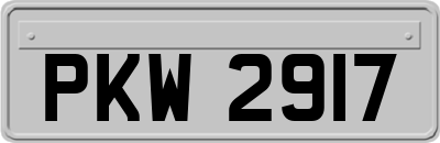 PKW2917