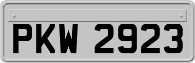 PKW2923