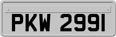 PKW2991