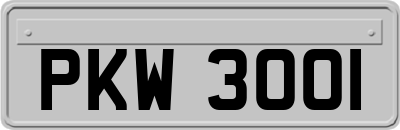 PKW3001