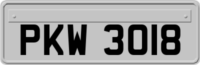 PKW3018