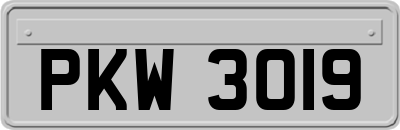 PKW3019