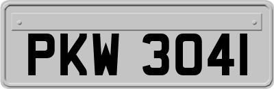 PKW3041