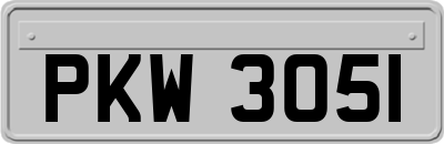 PKW3051