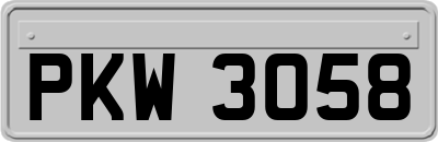 PKW3058
