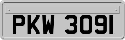 PKW3091