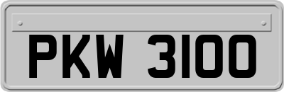 PKW3100