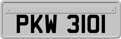 PKW3101