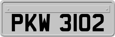 PKW3102