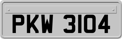 PKW3104