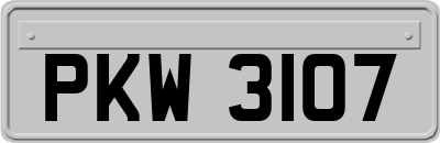 PKW3107