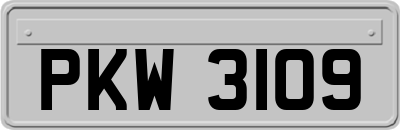 PKW3109