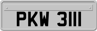 PKW3111