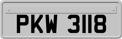 PKW3118