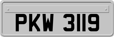 PKW3119