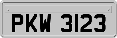 PKW3123