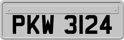 PKW3124