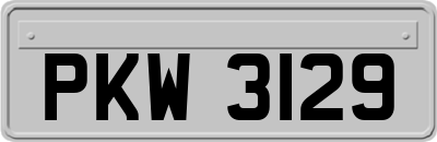 PKW3129